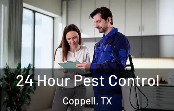  24 Hour Pest Control Coppell, TX