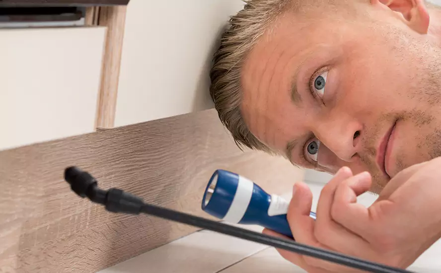 Top-Notch Pest Control in Coppell