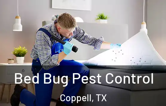  Bed Bug Pest Control Coppell, TX