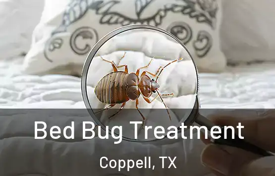  Bed Bug Treatment Coppell, TX