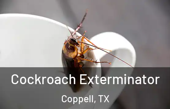  Cockroach Exterminator Coppell, TX