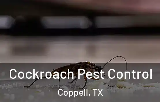  Cockroach Pest Control Coppell, TX