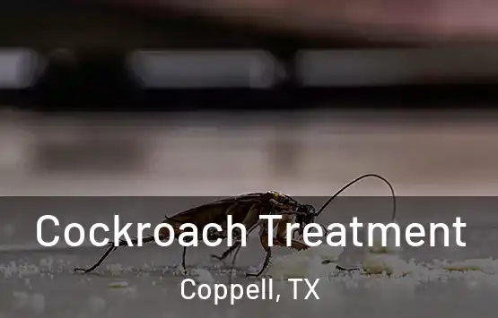  Cockroach Treatment Coppell, TX