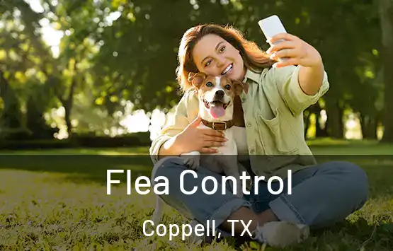  Flea Control Coppell, TX