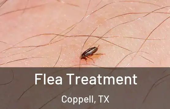  Flea Treatment Coppell, TX