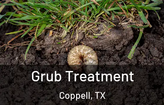  Grub Treatment Coppell, TX
