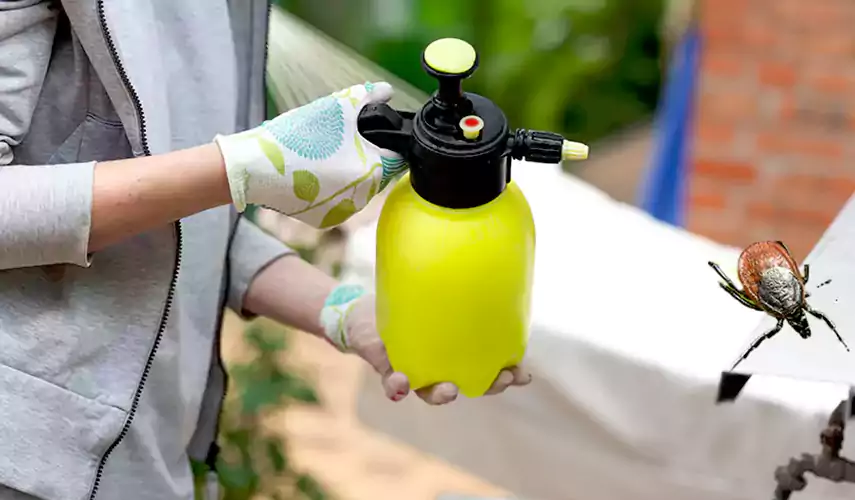 Ticks Pest Control Coppell, Texas