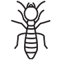 Termites Pest Control Coppell, Texas
