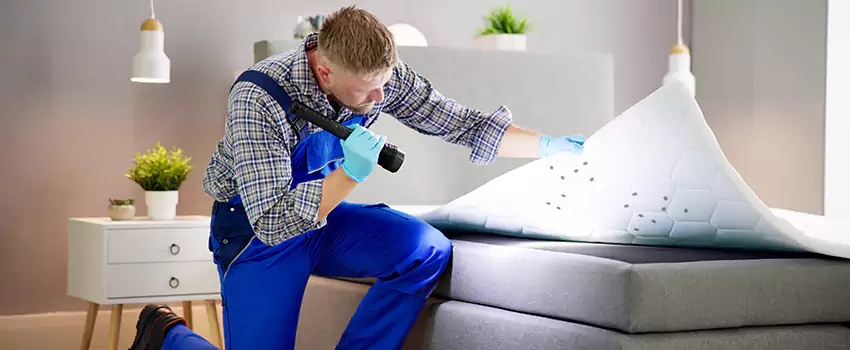 bed-bug-treatment in Coppell, TX