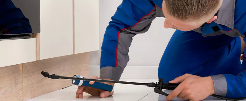 Commercial Pest Control for Offices in Coppell, TX