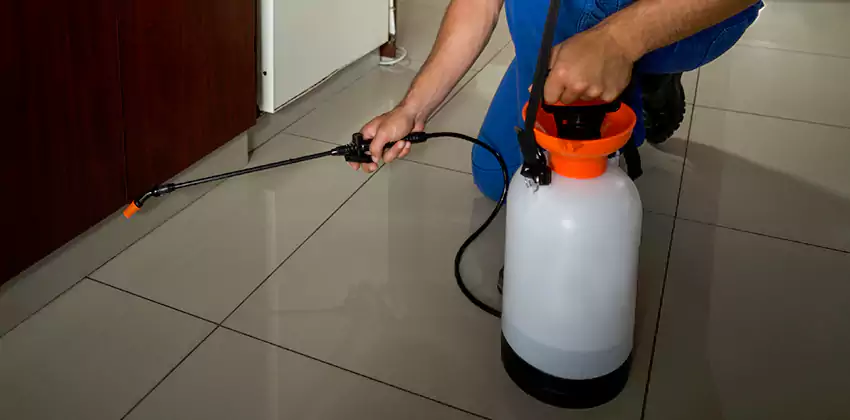 Commercial Pest Extermination for Offices in Coppell, TX