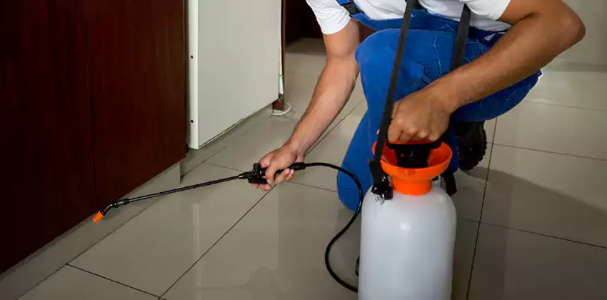 Commercial Flea Exterminator Company in Coppell, TX
