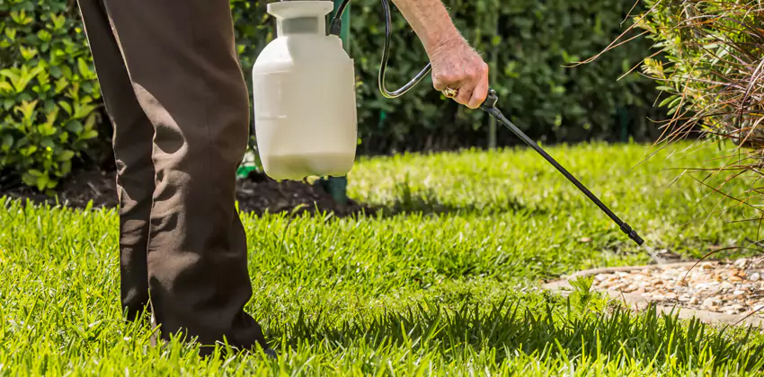 Grub Treatment for Bedrooms Coppell, TX