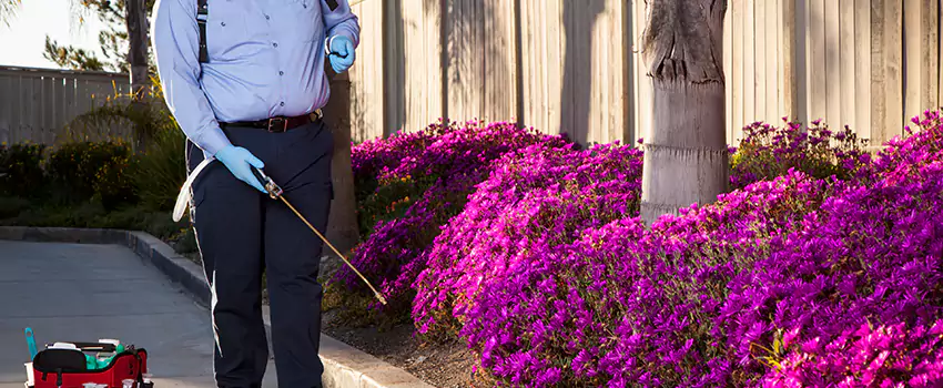 Commercial Mosquito Control Services in Coppell, TX