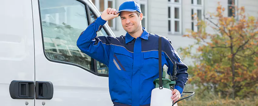 Organic and Chemical Spider Control Options Coppell, TX