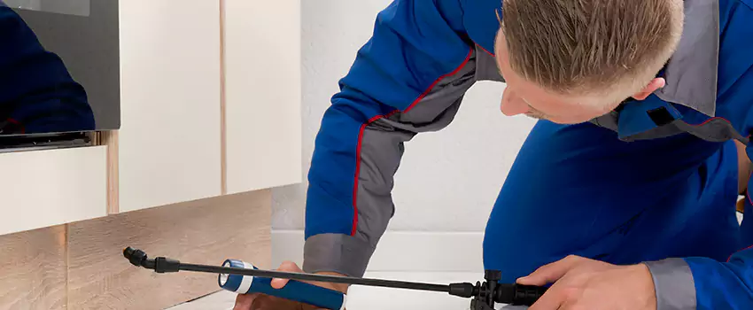 Termite Control for Children and Pets in Coppell, TX