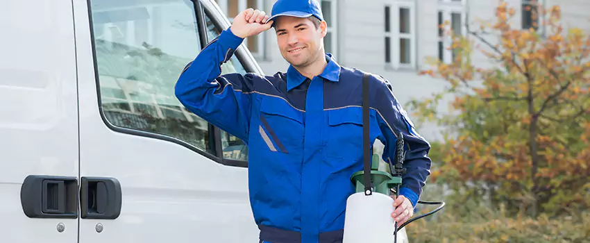 Whitefly Treatment for Bedrooms Coppell, TX