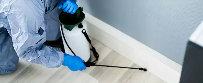 cockroach-exterminator in Coppell, TX