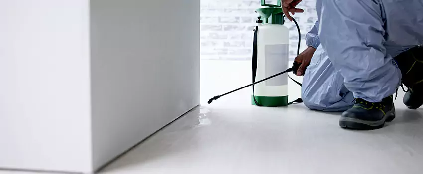 commercial-pest-control in Coppell, TX