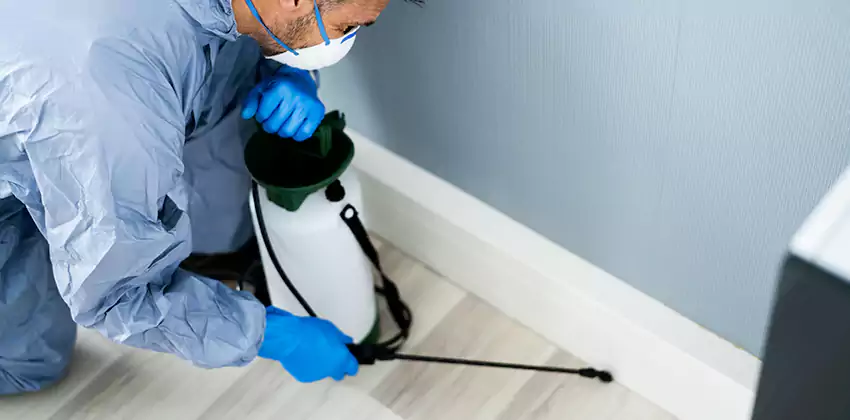 commercial-pest-exterminator in Coppell, TX