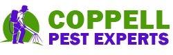 Coppell Pest Experts
