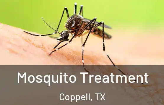  Mosquito Treatment Coppell, TX
