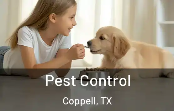  Pest Control Coppell, TX