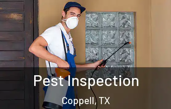  Pest Inspection Coppell, TX