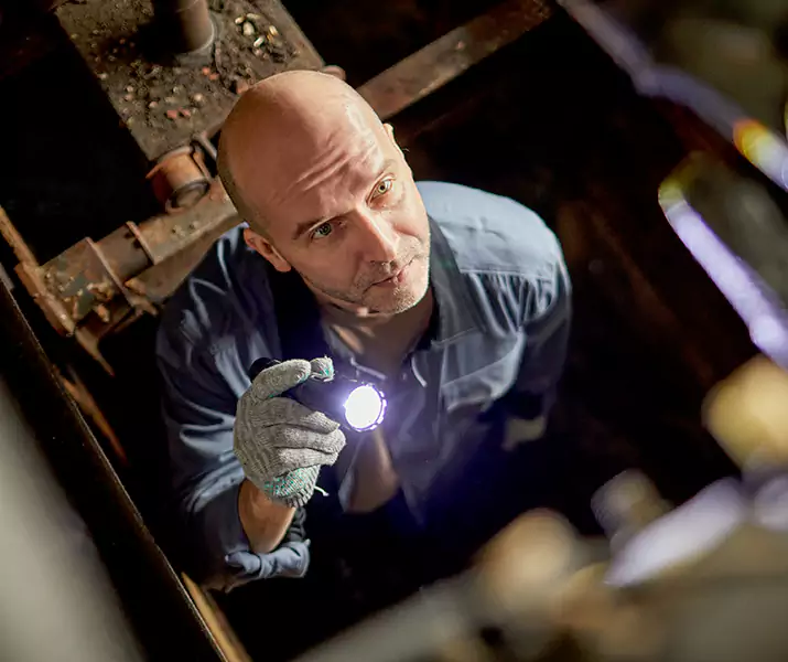 About Pest Inspection Coppell