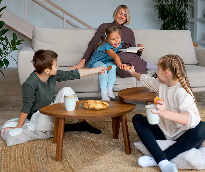 About Spider Exterminator Coppell