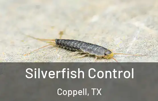 Silverfish Control Coppell, TX