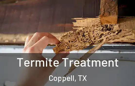  Termite Treatment Coppell, TX