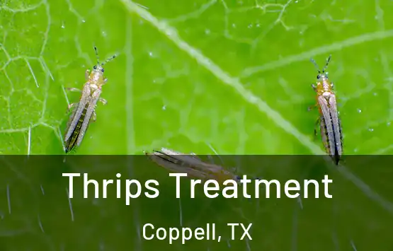  Thrips Treatment Coppell, TX