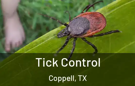  Tick Control Coppell, TX