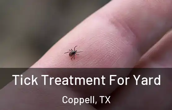  Tick Treatment For Yard Coppell, TX
