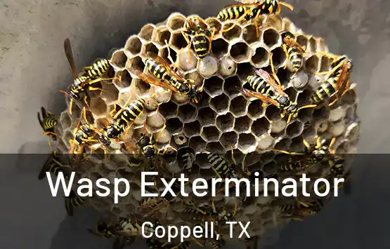  Wasp Exterminator Coppell, TX