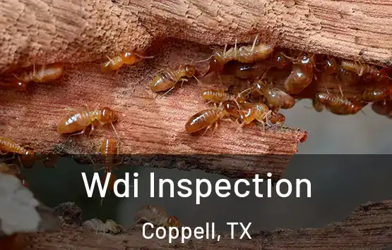  Wdi Inspection Coppell, TX
